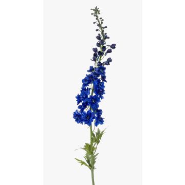 Delphinium artificiale SZILVIA, blu, 130cm