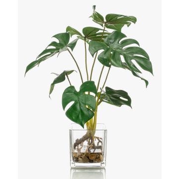 Filodendro finto Monstera Deliciosa PAVONIS in vaso di vetro, 40cm