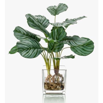 Calathea Orbifolia artificiale AGINA in vaso di vetro, verde-bianco, 45cm