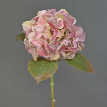 Ortensia finta AMARILDO, rosa, 45cm Ortensia finta AMARILDO, rosa, 45cm