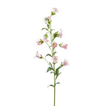Campanula decorativa AIMI, rosa-crema, 90cm