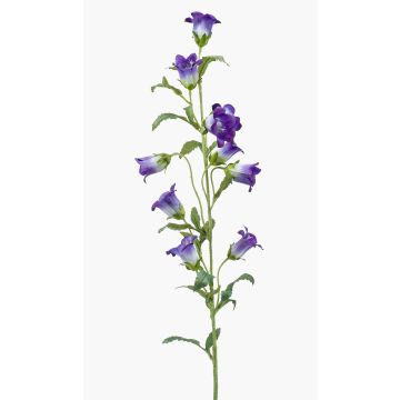 Campanula decorativa AIMI, viola-crema, 90cm