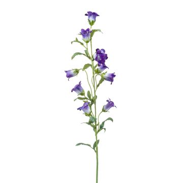 Campanula decorativa AIMI, viola-crema, 90cm