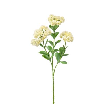 Sedum artificiale EUFRASIA, crema, 55cm