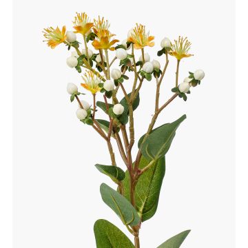 Erba di San Giovanni artificiale CANNO con fiori, frutti, giallo-bianco, 65cm Erba di San Giovanni artificiale CANNO con fiori, frutti, giallo-bianco, 65cm