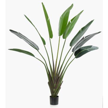 Albero del viaggiatore artificiale DARCEL, verde, 180cm