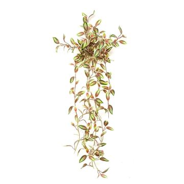 Pianta artificiale Tradescantia zebrina DIHALLO su bastoncino, pendente, verde-rossa, 70 cm