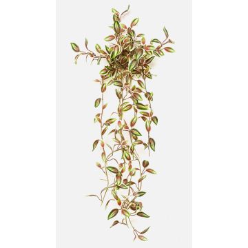 Pianta artificiale Tradescantia zebrina DIHALLO su bastoncino, pendente, verde-rossa, 70 cm
