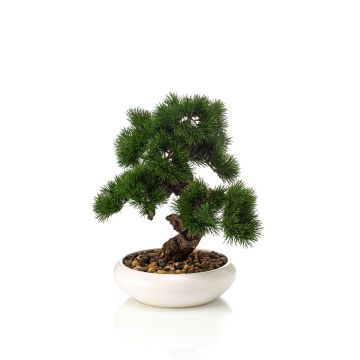 Bonsai artificiale pino MIRSANDA in vaso bonsai, 35 cm Bonsai artificiale pino MIRSANDA in vaso bonsai, 35 cm