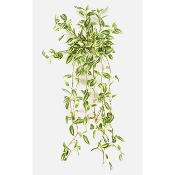 Pianta artificiale Tradescantia zebrina DIHALLO su bastone, pendente, verde-bianco, 70 cm