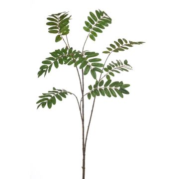 Ramo decorativo mogano MANIESA, verde, 150 cm