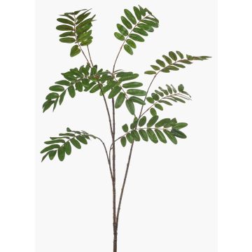 Ramo decorativo mogano MANIESA, verde, 150cm