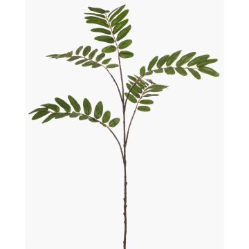 Ramo decorativo Mahonia MANIESA, verde, 105 cm Ramo decorativo Mahonia MANIESA, verde, 105 cm