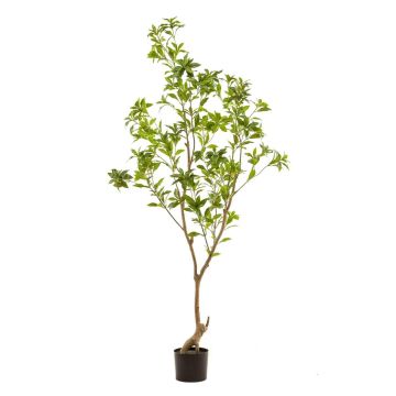 Albero artificiale pianta del tè GUSHON, tronco artificiale, verde, 185 cm