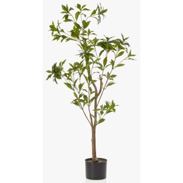 Albero artificiale pianta del tè GUSHON, tronco artificiale, verde, 120 cm Albero artificiale pianta del tè GUSHON, tronco artificiale, verde, 120 cm