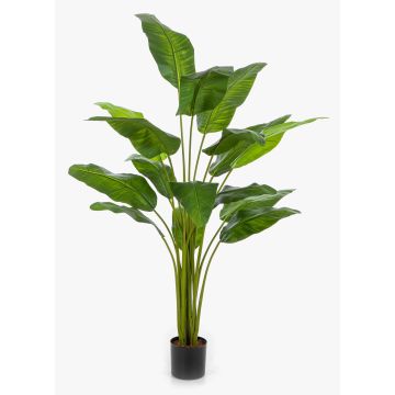 Albero dei viaggiatori artificiale COSINO, 170 cm