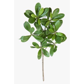 Ramo artificiale di pianta grassa MASON, difficilmente infiammabile, verde, 40 cm