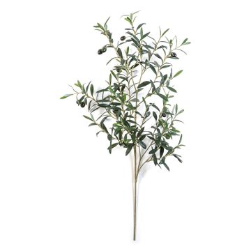 Ramo di olivo artificiale LORRIS, con frutti, difficilmente infiammabile, verde, 110 cm