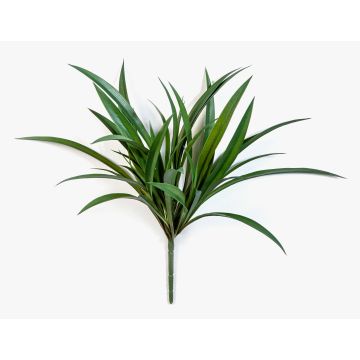 Erba artificiale Liriope HIMAWARI su bastoncino, crossdoor, verde, 40 cm