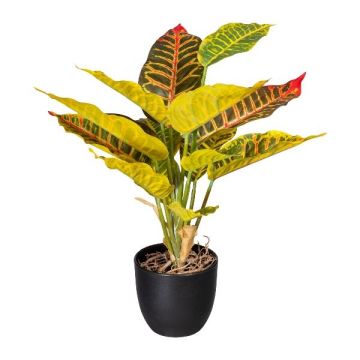 Pianta finta Croton VILHAN, vaso decorativo, radici, colorato, 35 cm