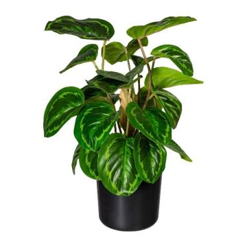 Pianta finta Calathea Medaillon STRAHN, verde, 45 cm