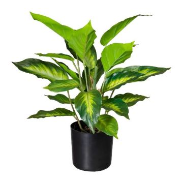 Pianta artificiale Dieffenbachia PLUHON, radici, verde scuro, 45 cm