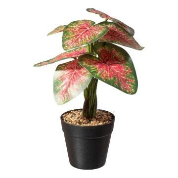 Pianta artificiale Caladium WEHNDAS, vaso decorativo, verde-rosso, 30 cm