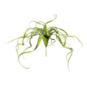Succulenta artificiale Tillandsia streptophylla KRIFT, bastone, verde, 65 cm