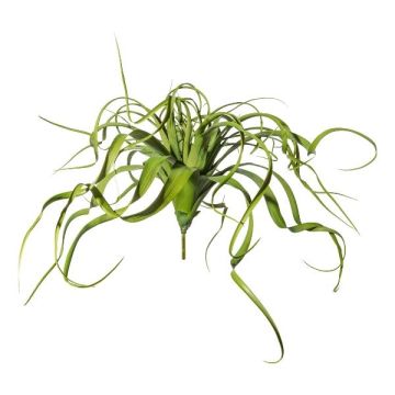 Succulenta artificiale Tillandsia streptophylla KRIFT, bastone, verde, 70 cm