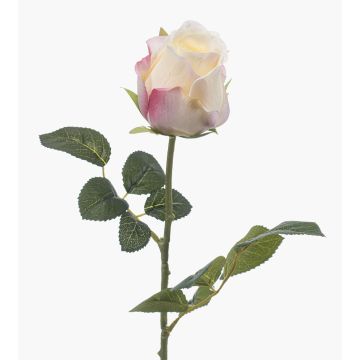Rosa artificiale DIXLEN, bianco-rosa, 70 cm Rosa artificiale DIXLEN, bianco-rosa, 70 cm
