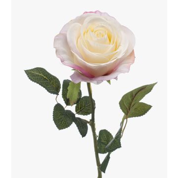 Rosa artificiale BRUNETTE, bianco-rosa, 65 cm Rosa artificiale BRUNETTE, bianco-rosa, 65 cm