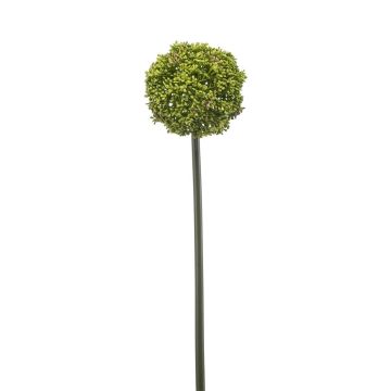 Allium artificiale TUXLON, verde, 75 cm