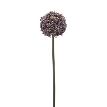 Allium artificiale TUXLON, lilla, 75 cm Allium artificiale TUXLON, lilla, 75 cm