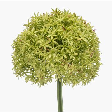 Allium artificiale PRAXEN, verde, 90 cm