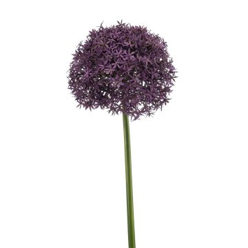 Allium artificiale PRAXEN, viola scuro, 90 cm Allium artificiale PRAXEN, viola scuro, 90 cm