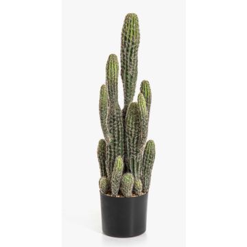 Cactus artificiale San Pedro FARIN, verde, 75 cm
