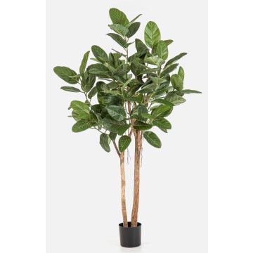 Fico banyan artificiale LEIFA con liane, tronco vero, verde, 170 cm Fico banyan artificiale LEIFA con liane, tronco vero, verde, 170 cm