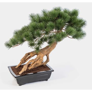 Bonsai artificiale di pino SARINU in vaso, 55 cm
