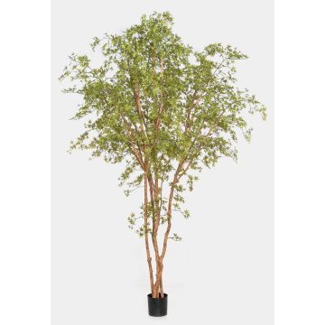 Pianta artificiale acero giapponese ZEDRIC, tronco vero, verde, 330 cm Pianta artificiale acero giapponese ZEDRIC, tronco vero, verde, 330 cm