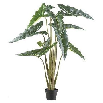 Pianta artificiale Alocasia Sanderiana NARLO, vaso decorativo, verde, 130 cm