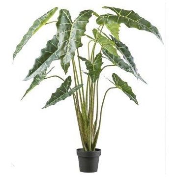Pianta artificiale Alocasia Sanderiana NARLO, vaso decorativo, verde, 160 cm