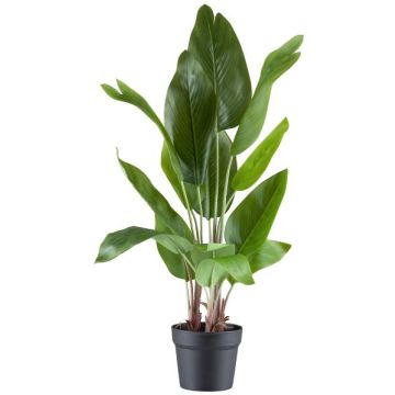 Pianta artificiale Strelitzia JARVINY in vaso decorativo, verde, 70 cm Pianta artificiale Strelitzia JARVINY in vaso decorativo, verde, 70 cm