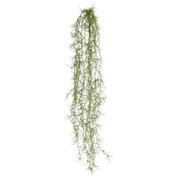Succulenta artificiale Tillandsia usneoides BLIMFY, bastoncino, pendente, verde scuro, 80 cm