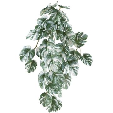 Decorazione sospesa Philodendron monstera deliciosa variegata TRANE, bastoncino, verde-bianco, 50 cm