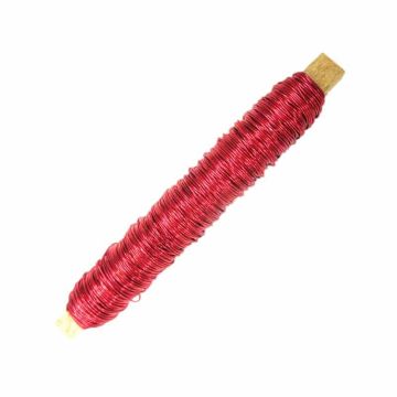 Filo decorativo resistente ZELMA, rosso, 100 g, 50 m, Ø 0,5 mm Filo decorativo resistente ZELMA, rosso, 100 g, 50 m, Ø 0,5 mm