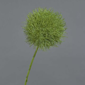 Fiore artificiale Allium GLORF, verde, 75 cm Fiore artificiale Allium GLORF, verde, 75 cm