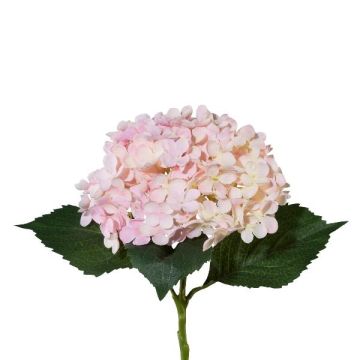Fiore artificiale ortensia ZURTO, rosa chiaro, 55 cm