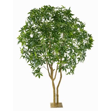 Albero artificiale Pachira RAXELI su base, tronchi artificiali, verde, 285 cm
