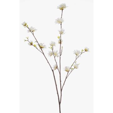 Ramo decorativo di amamelide ZAVNER con fiori, bianco, 110 cm Ramo decorativo di amamelide ZAVNER con fiori, bianco, 110 cm