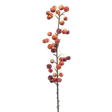 Ramo decorativo di melo ornamentale KELZAR con frutti, rosso, 85 cm
